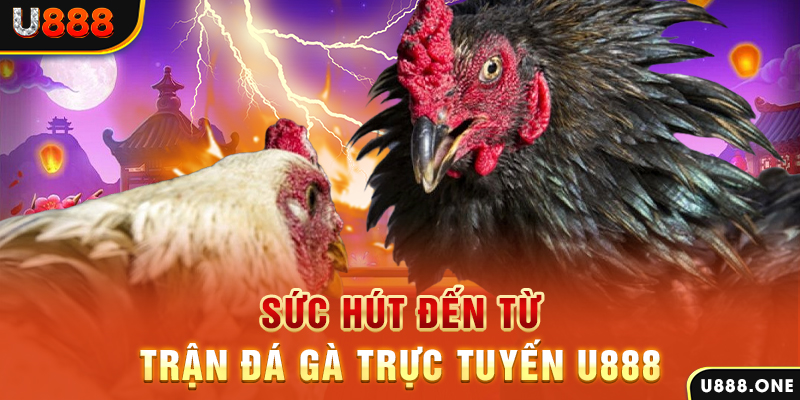 i9bet150 đá gà trực tiếp c1