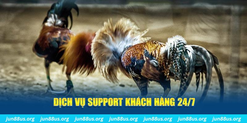 i9bet150 ÁT CHỦ BÀI GIÀNH LẤY ZHUANG NIUNIU ( XEM 4 LÁ )