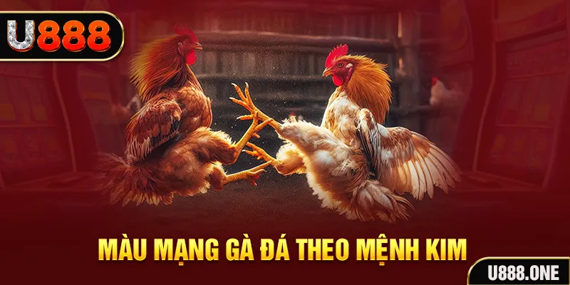 i9bet150 Cỡ bảy