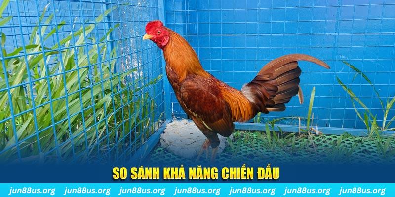 i9bet150 CQ9 Điện Tử