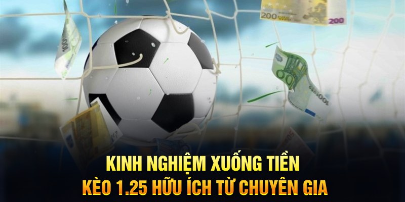 i9bet150 TCG Xổ Số