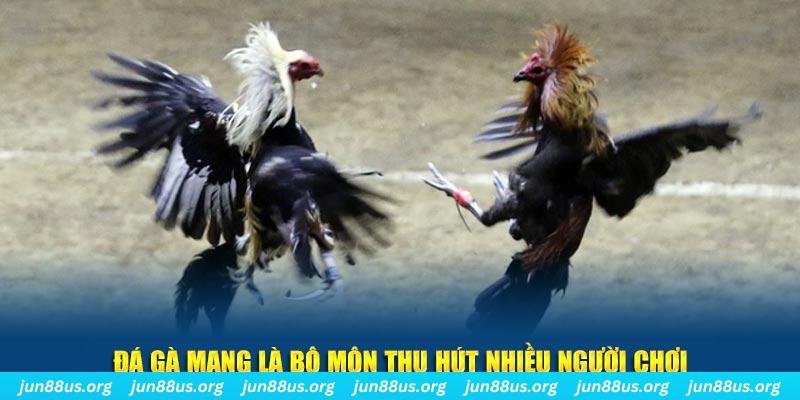 i9bet150 bắn cá au88