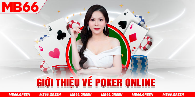 i9bet150 đá gà thomo hôm nay