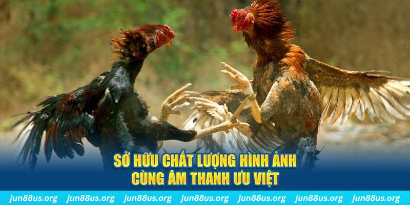 i9bet150 PP Điện Tử