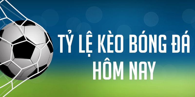 i9bet150 gà chọi c1 mới nhất