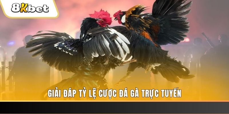 i9bet150 xổ số đài miền trung