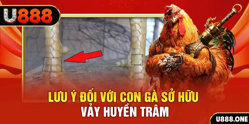 i9bet150 kết quả xổ số miền nam hôm nay