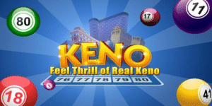 i9bet150 gà chọi c1 thomo