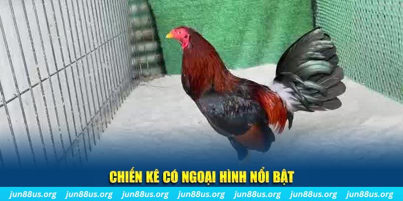 i9bet150 game nổ hũ là gì