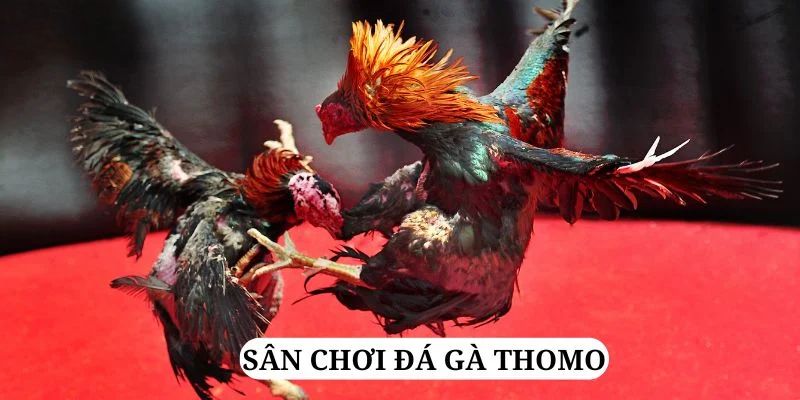 i9bet150 trực tiếp xổ số miền bắc